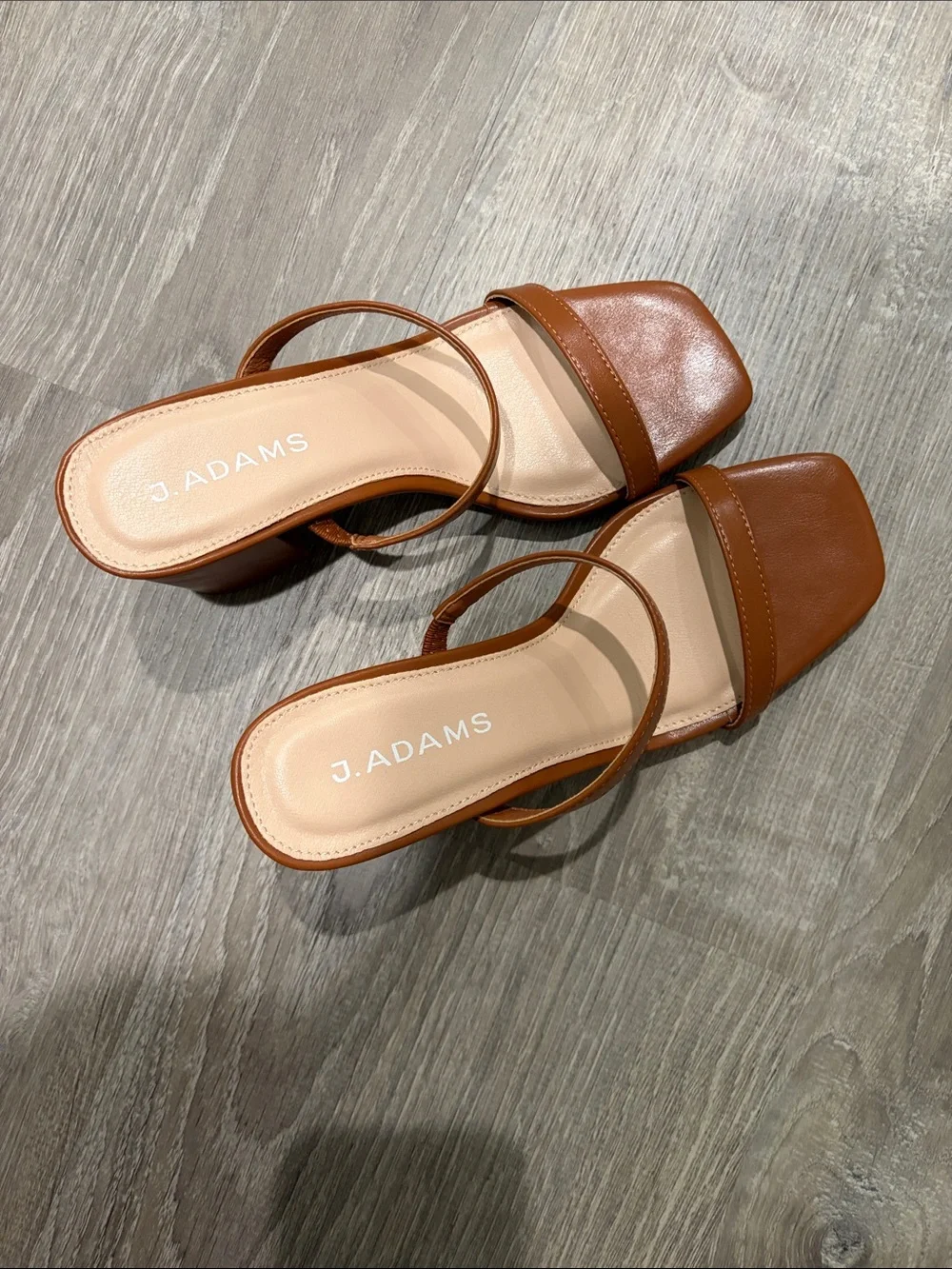 J Adam’s Minimalist Double-Strap Block Heel Sandal in Brown
